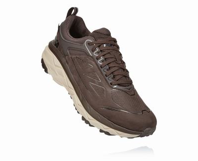 Hoka One One Men's Challenger Low GORE-TEX Trail Running Shoes Coffee (HO8276) Australia